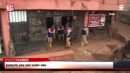 Şanlıurfa yine sele teslim oldu