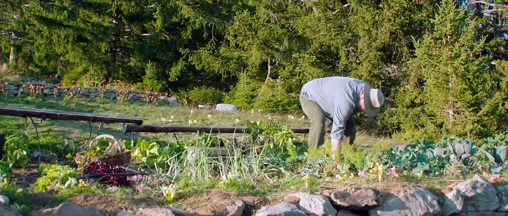 Die einfachen Dinge Trailer OV