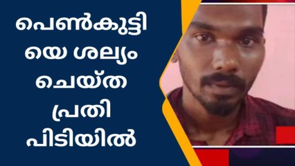 ബസില്‍ പെണ്‍കുട്ടിക്ക് നേരെ അതിക്രമം;പ്രതി അറസ്റ്റില്‍