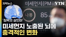 [자막뉴스] 미세먼지 이 정도일 줄이야...서서히 뇌에 심각한 변화 / YTN