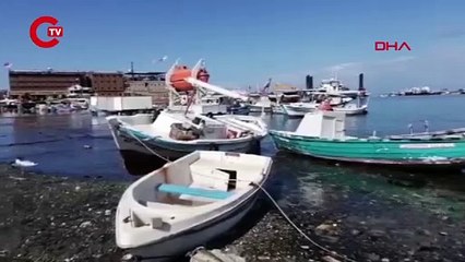 Prof. Dr. Öztürk'ten 'İskenderun' açıklaması: 'Kıyı şeridi 100 metreden 101 metreye ulaştı'