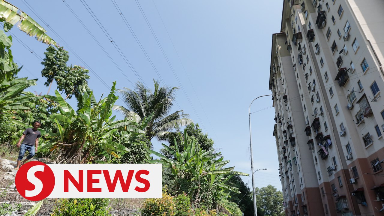 Deputy minister to meet PPR communities over study citing suicidal thoughts among youths