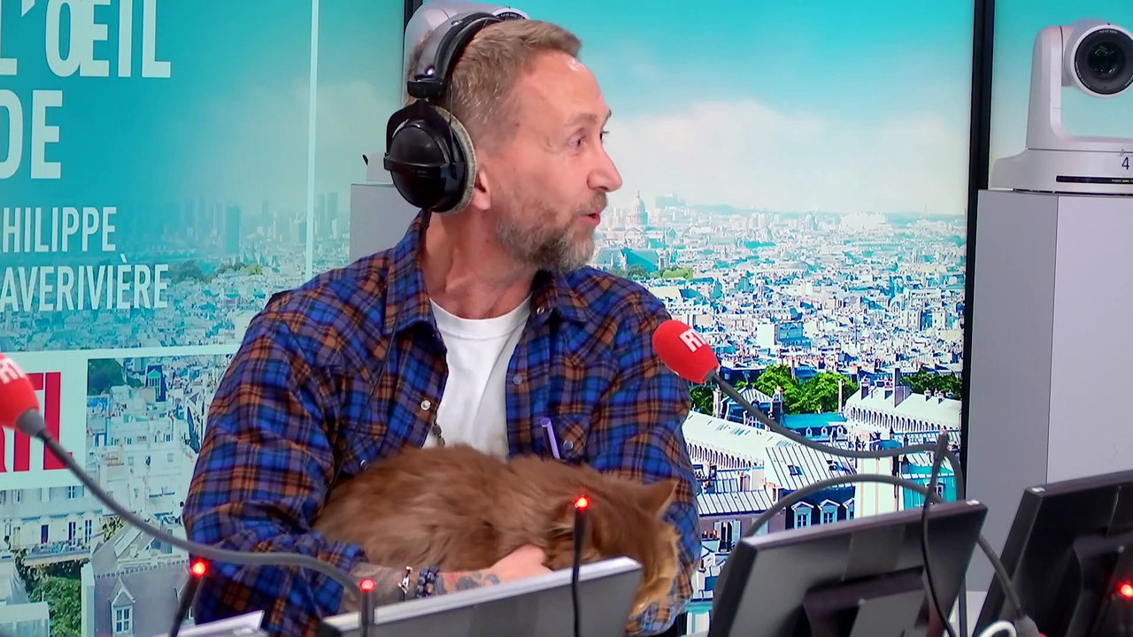 "Mon chat Roméo fait toujours la gueule, j'aurais dû l'appeler Elisabeth Borne"