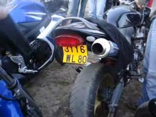 RUPTURES HORNET