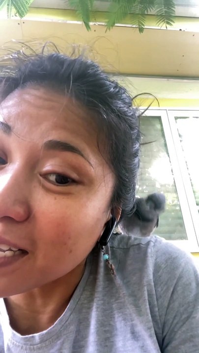 Blue Jay Steals Woman's Earbud