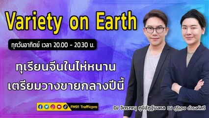 ทุเรียนจีนในไห่หนาน เตรียมวางขายกลางปีนี้ : Variety on Earth : 19 มีนาคม 2566