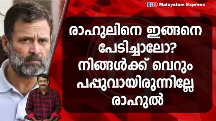 പാർലമെൻ്റിനകത്തും പുറത്തും രാഹുൽ വേട്ടയ്ക്ക് ബി ജെ പി