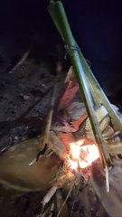 Masak Ikan Bakar di Hutan