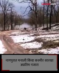 कश्मीर म्हणाली नव्हे तर हे नागपूर आहे