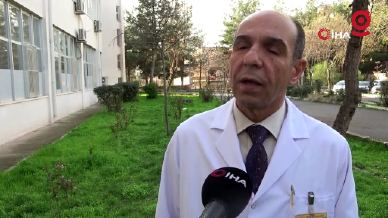 Diyarbakır’da balıklar oksijensiz kalarak boğuldu