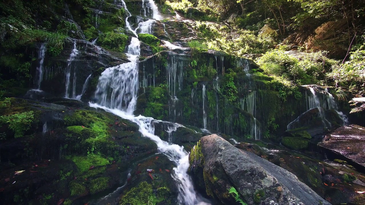Escape to Serenity: Soothing Nature Sounds for Ultimate Relaxation