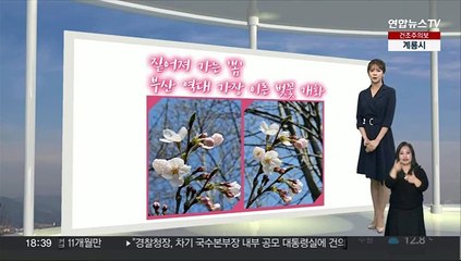 [생활날씨] 기온 점차 올라…내일~글피 제주 '비'