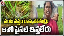 400 Acres Of Paddy Crop Damage Due To Untimely Rains _  Peddapalli  _ V6 News (1)