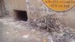 मैनपुरी: स्वच्छता अभियान हुआ फेल, जगह-जगह लगा गंदगी का अंबार