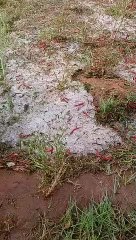 Video Story: everything was destroyed