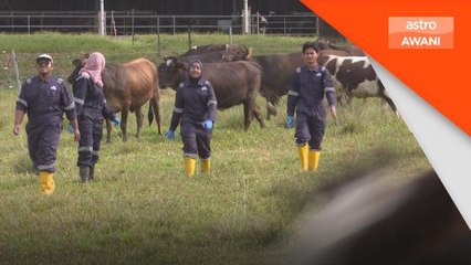 Farm Fresh Bhd meterai MoA dengan UPM, tingkat minat mahasiswa ceburi industri tenusu dan pertanian