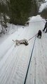 Hound Dog Gets Dragged by Friend During Walk in Snow