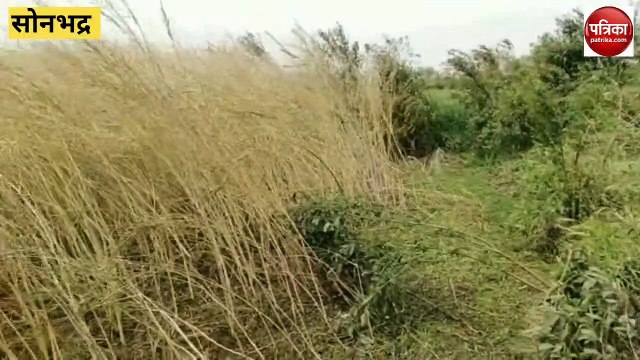 सोनभद्र में प्रकृति की मार से बेहाल किसानो को डीएम ने दिया मदद का मरहम