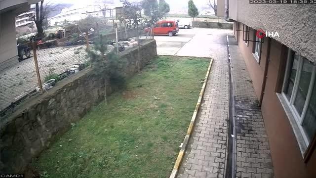 Artvin'de köpeklerin kovaladığı karacayı site sakinleri kurtardı... O anlar kamerada
