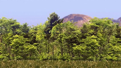 التقاط ثاني أكسيد الكربون