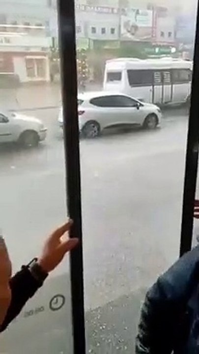 Un pigeon demande à se réfugier dans une boutique pendant une averse de grêle
