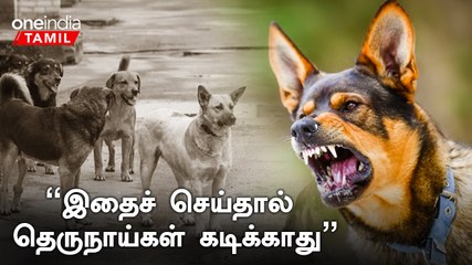 Indian Street Dogs-க்கு எதிரான வன்முறைகளுக்கு என்ன காரணம்?