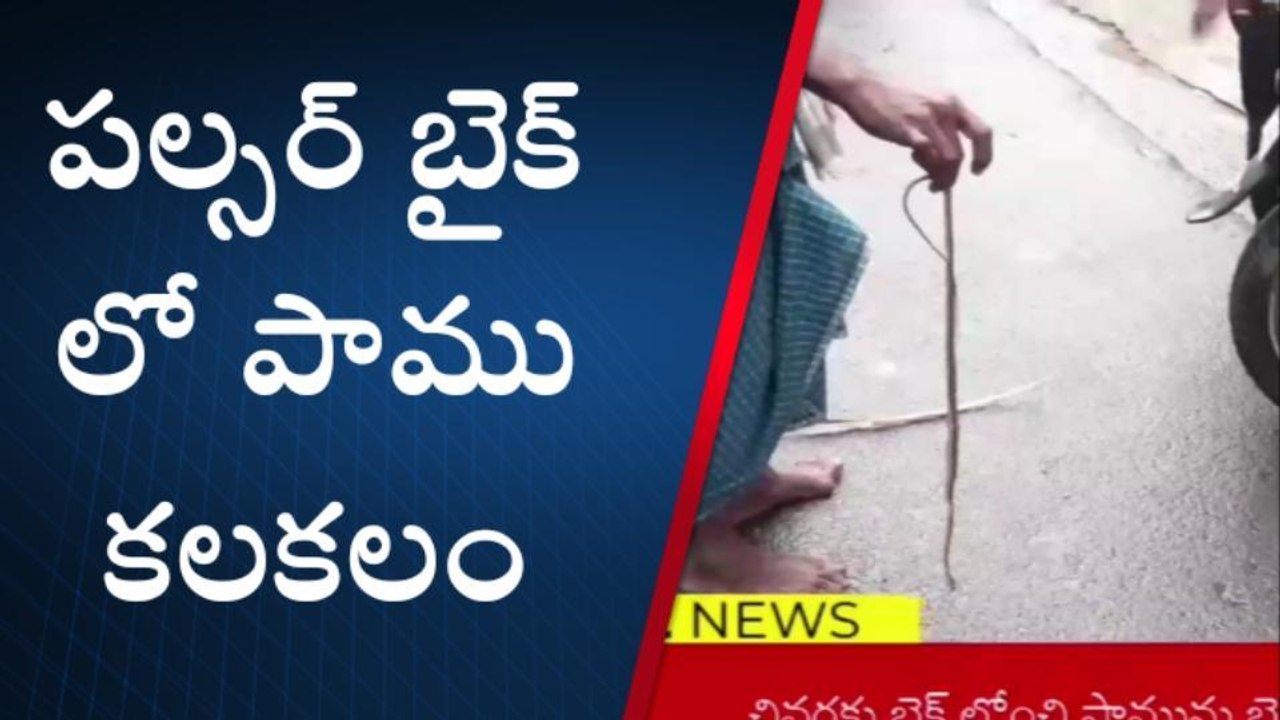 శ్రీకాకుళం: పల్సర్ బైక్ లో పాము కలకలం... వీడియో మీకోసం