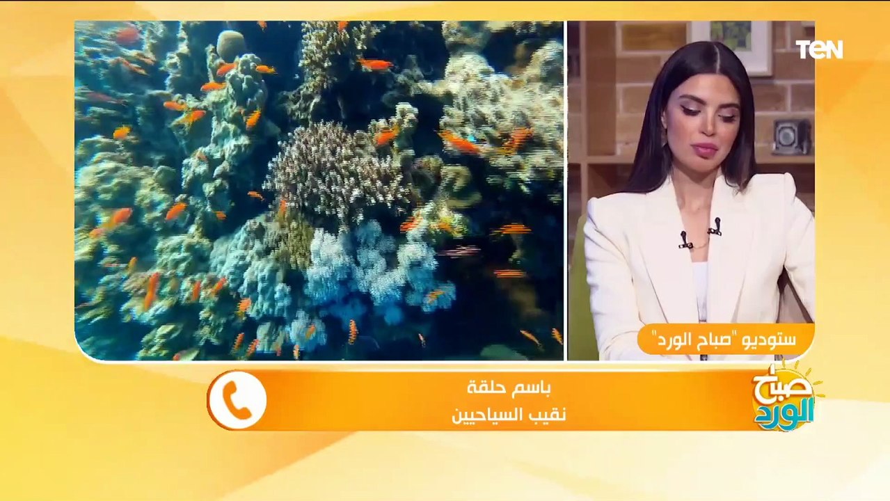 في مصر حاجة تانية فعلا.. نقيب السيايحيين يوضح أ...