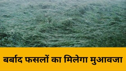 भदोही: आंधी-पानी से बर्बाद हुई फसलों का यूपी सरकार देगी मुआवजा, शुरू हुआ सर्वे