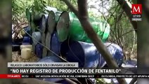 Hasta el momento no se tiene registro de producción de fentanilo en México: Roberto Velasco
