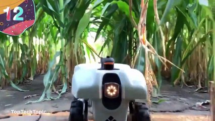 Top 15 NEXT LEVEL Robots