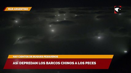 Así depredan los barcos chinos a los peces