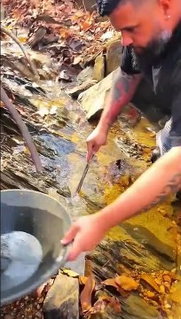 Ce chercheur d'or sait où il faut chercher