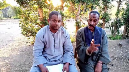 شوف لما الصعايدة يحللو المباريات كلام من دهب والله