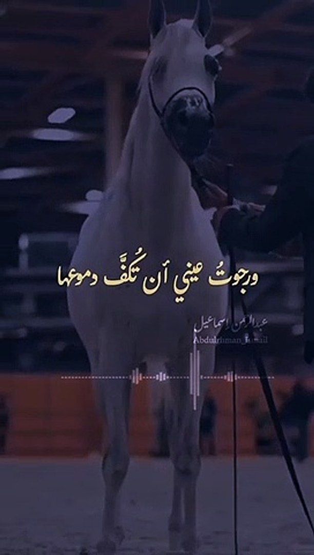 ورجوتُ عيني أن تكُفَّ دموعها _  بدون موسيقى _