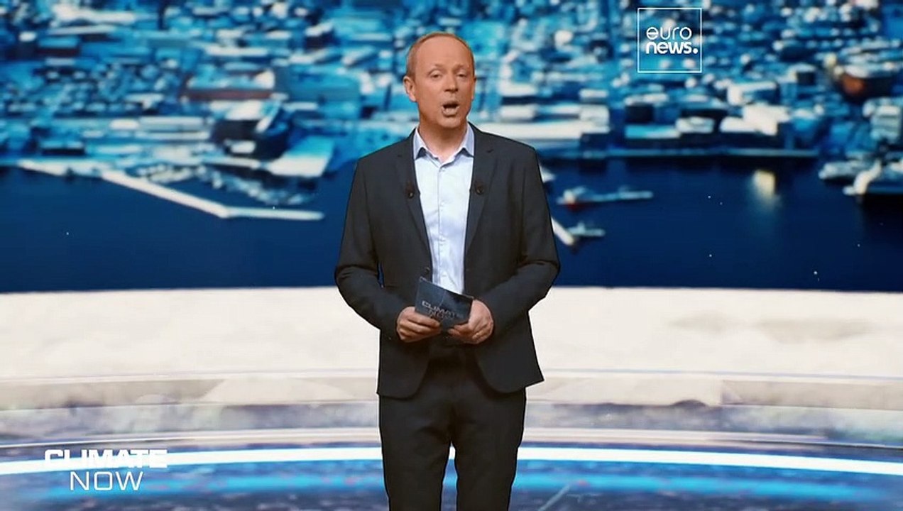 Das Meereis am Nordpol wird dünner: Wie sieht die Arktis in Zukunft aus?