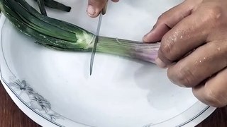 Viral onion cutting skill.