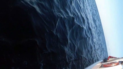 Humpback Whale Calls Below the Surface