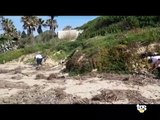 I volontari del Wwf puliscono la spiaggia e trovano droga.