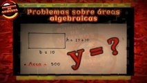 PROBLEMAS sobre áreas algebraicas. COMO SOLUCIONARLO?   PROBLEMS on algebraic areas. HOW TO SOLVE IT?