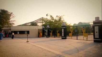 Kolkata Gets a New Mini Zoo Harinalaya near Eco Park