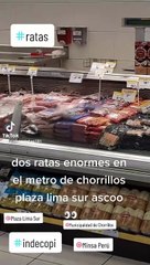 Captan roedores en centro comercial de Chorrillos.
