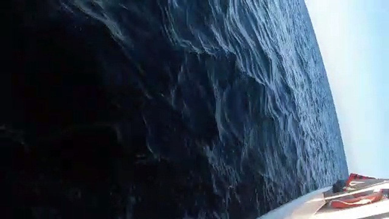 Humpback Whale Calls Below the Surface