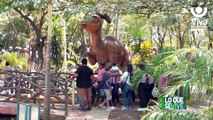 Familias disfrutan del fin de semana en el Parque Saurio de Nindirí