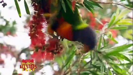 The Block - Se6 - Ep04 HD Watch