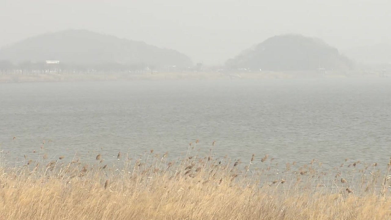 [날씨] 절기 '춘분', 따뜻하지만 초미세먼지...제주도 비 / YTN