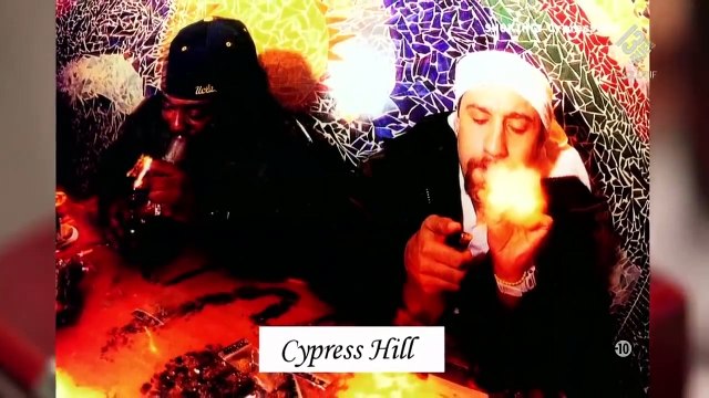 Criminels 2.0 - Arjan Roskam, le roi du cannabis