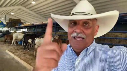 “La ganadería da más dinero que el premio 13 de la lotería”, dice Jaime David