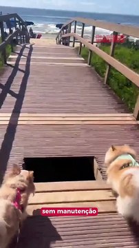 Médica cai em buraco de passarela sem manutenção na Praia Brava
