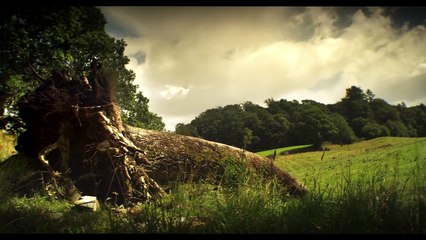 Royal Shakespeare Company - Richard II | movie | 2013 | Official Trailer